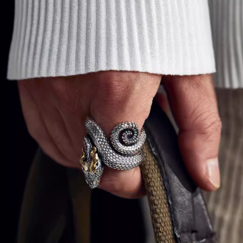 Anillo de dragón de plata