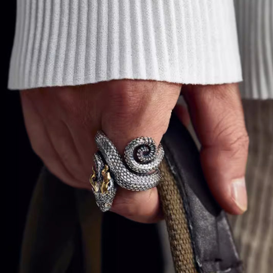 Anillo de dragón de plata