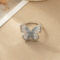  Anillo